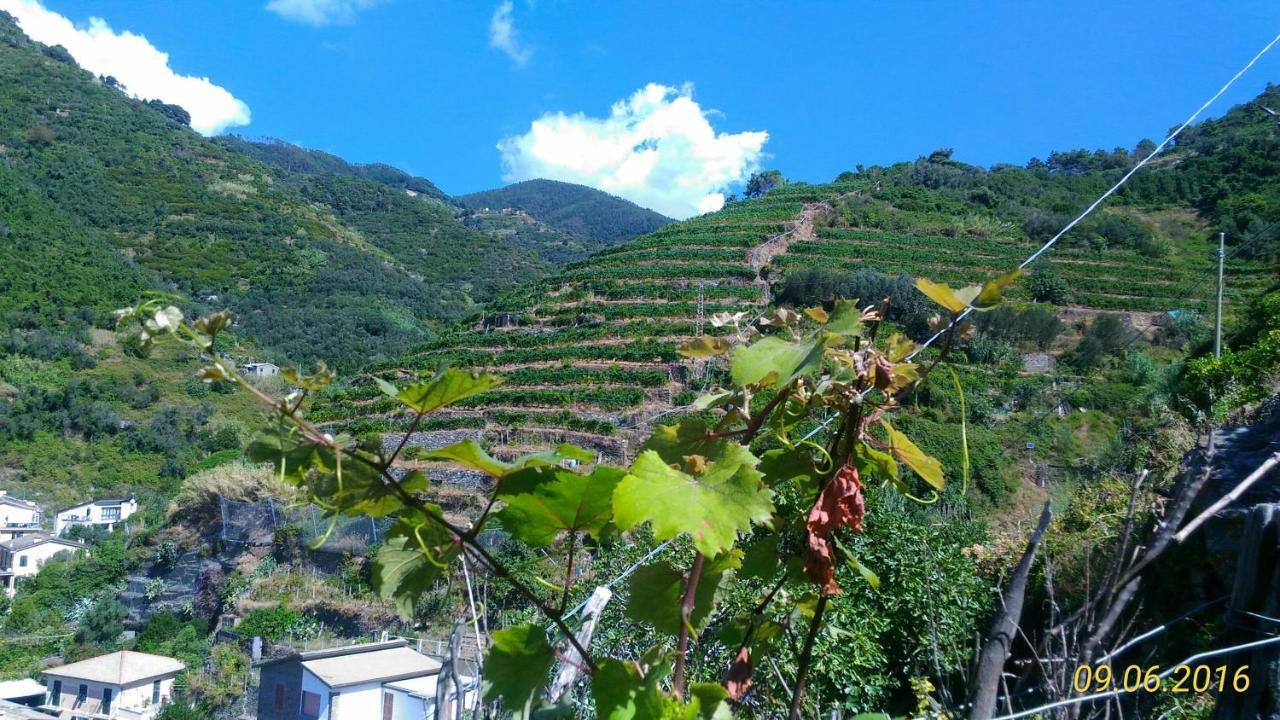 Case Vacanza Reggimonti Cinque Terre Bonassola Exterior photo